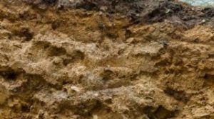 Subsoil